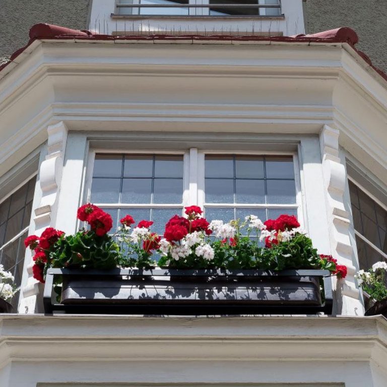 house-windowbox