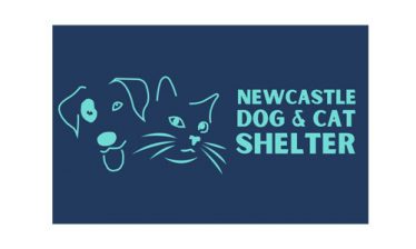 Newcastle Dog & Cat Shelter