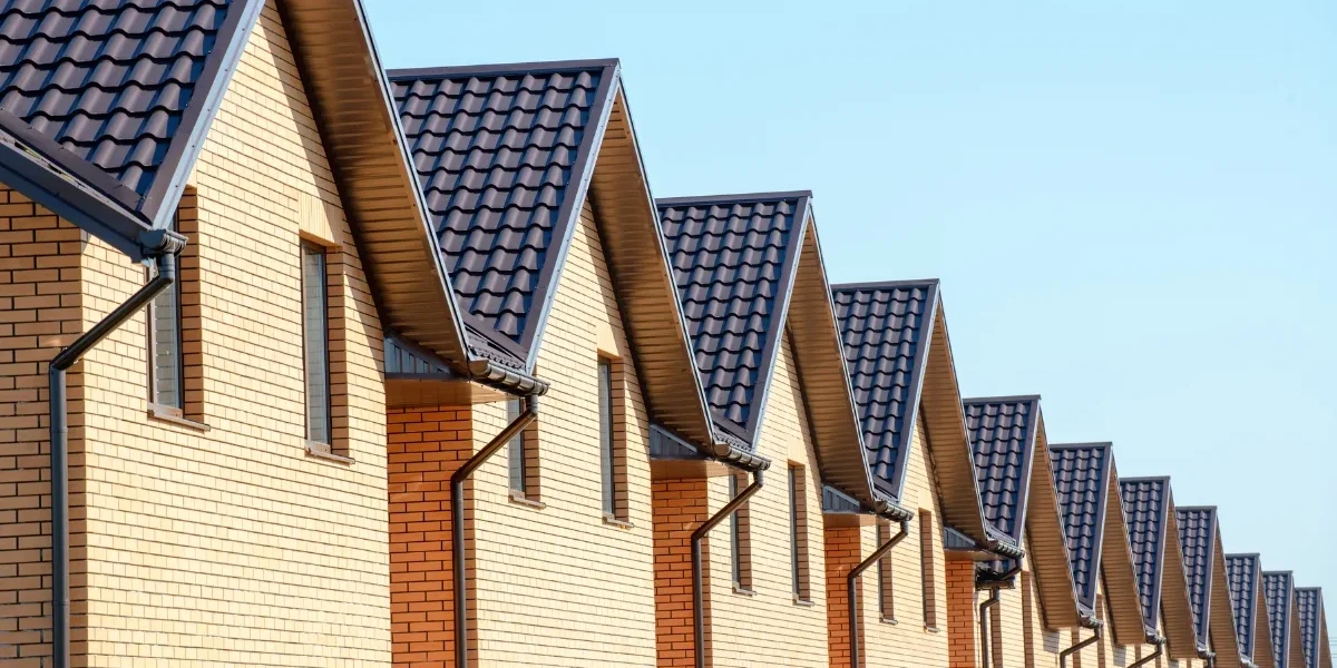 Octupus Captial News Post 28.07